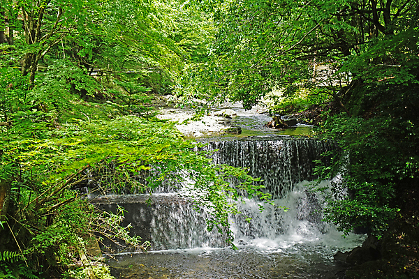 포토 JPG 해외이미지 나무 식물 공원 백그라운드 자연 산 풍경 사람없음 야외 초록색 물 여름 강 햇빛 태양 평화 환경 일본 맑음 봄 폭포 흐름 바위 시골 개울 숲 열대우림 내추럴 해외포토 자연요소 계절 공공시설 아시아 컬러 컨셉 날씨 돌_바위 생태계 파일형식 이미지허브
