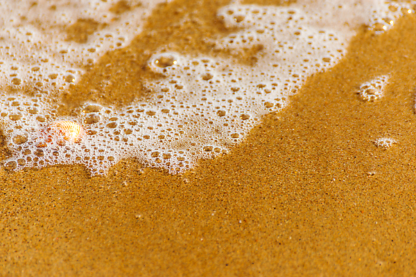 포토 JPG 해외이미지 디자인 모래 파도 바다 섬 여행 백그라운드 패턴 휴가 조개 휴식 풍경 해변 사람없음 야외 물 여름 파란색 햇빛 태양 맑음 거품 껍질 황금 소라 휴양지 질감 내추럴 이국적 특별함 파라다이스 카피스페이스 해외포토 자연요소 계절 컬러 컨셉 무늬 날씨 어패류 공백 장소 파일형식 이미지허브