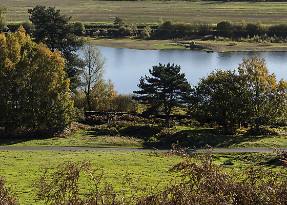 포토 JPG 해외이미지 나무 식물 계절 공원 호수 잎 자연 하늘 아침 영국 풍경 사람없음 야외 목재 초록색 파란색 빛 햇빛 태양 환경 가을 나뭇가지 시골 저수지 숲 언덕 내추럴 필터 해외포토 주간 자연요소 공공시설 유럽 컬러 재료 생태계 파일형식 이미지허브