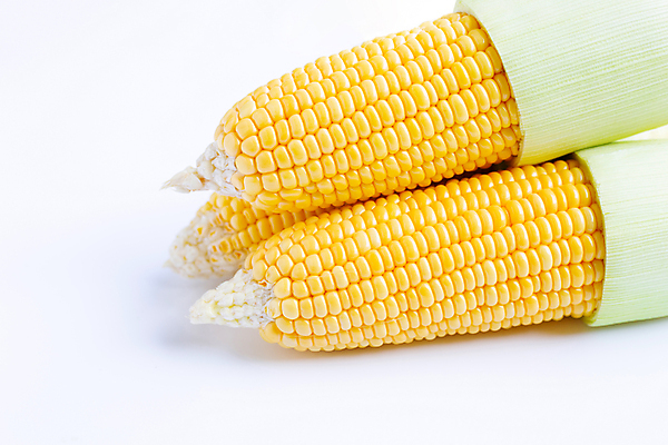 포토 JPG 해외이미지 실내 옥수수 사람없음 쌓기 세개 흰배경 옥수수껍질 해외포토 백그라운드 모션 곡류 3 내부 껍질 흰색 파일형식 이미지허브