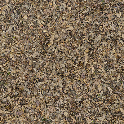 포토 JPG 해외이미지 식물 계절 공원 지구 백그라운드 잎 패턴 밭 자연 표면 추상 바닥 건조 사람없음 야외 초록색 여름 갈색 노란색 환경 정원 봄 가을 떨어짐 숲 질감 내추럴 옛날 해외포토 공공시설 컬러 컨셉 무늬 농업 생태계 파일형식 이미지허브