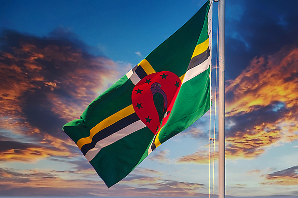 포토 JPG 해외이미지 물결 하늘 사람없음 빨간색 초록색 파란색 노란색 보라색 깃발 앵무새 해외포토 컬러 조류 파일형식 이미지허브