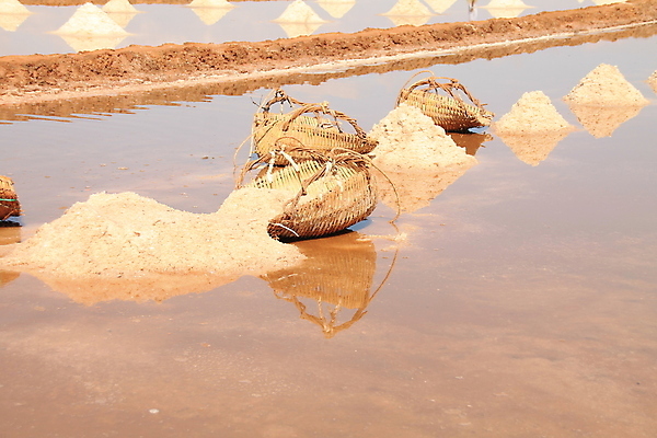 포토 JPG 해외이미지 아시아 자연 풍경 사람없음 야외 반사 동남아시아 캄보디아 열대기후 해외포토 나라 생태계 파일형식 이미지허브