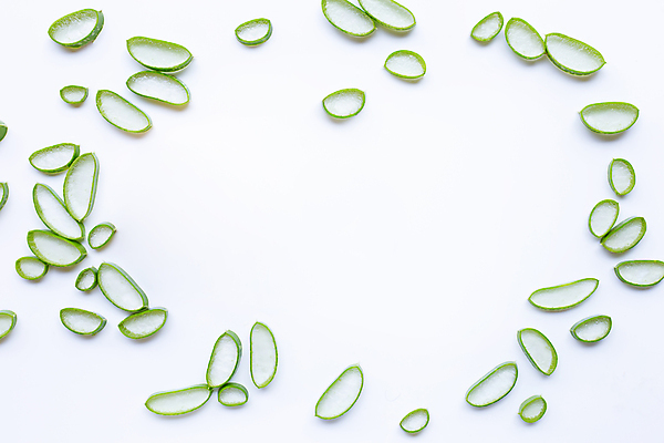 포토 JPG 해외이미지 스튜디오촬영 단면 실내 사람없음 하이앵글 흰배경 알로에 해외포토 식물 뷰포인트 백그라운드 내부 흰색 파일형식 이미지허브