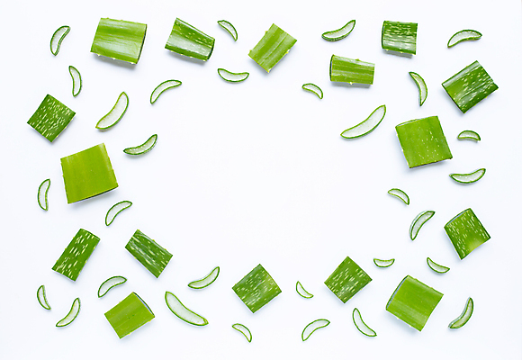 포토 JPG 해외이미지 스튜디오촬영 단면 실내 사람없음 하이앵글 흰배경 알로에 해외포토 식물 뷰포인트 백그라운드 내부 흰색 파일형식 이미지허브