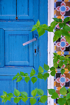 포토 JPG 해외이미지 식물 전통 외관 꽃 유럽 벽 여행 백그라운드 잎 건축양식 자연 주택 풍경 사람없음 야외 건물 목재 장식 초록색 여름 파란색 문 정원 수확 바위 지중해 타일 원예 잠금 대문 모자이크 내추럴 옛날 해외포토 나무 건축물 계절 건축 나라 바다 컬러 농업 재료 취미 돌_바위 생태계 보안 파일형식 이미지허브