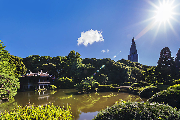 포토 JPG 해외이미지 나무 식물 전통 공원 호수 잎 불교 자연 하늘 결혼식 휴식 그림자 잔디 사람없음 야외 건물 목재 가로 초록색 컬러풀 태양 정원 일본 맑음 연못 소나무 영혼 역사 도쿄 그늘 해외포토 자연요소 건축물 공공시설 아시아 종교 컬러 결혼 컨셉 재료 날씨 생태계 파일형식 이미지허브