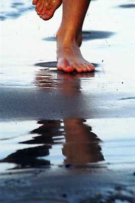 포토 JPG 해외이미지 모양 웰빙 신체 해부 맨발 발 자연 근육 휴가 생물 건강 사람 사람없음 신체부위 물 건강관리 화목 습기 젖음 물방울 신선 액체 위생 순수 발가락 양발 위생관리 해외포토 자연요소 컨셉 의학 관리 생태계 파일형식 이미지허브