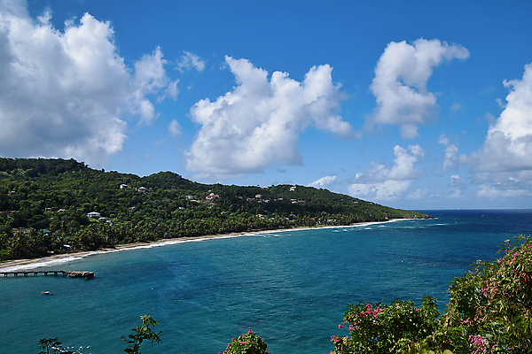 포토 JPG 해외이미지 나무 모래 바다 섬 여행 백그라운드 자연 하늘 휴가 열대 손바닥 풍경 사람없음 초록색 물 여름 파란색 모래사장 컬러풀 야자수 맑음 만 크루즈 휴양지 포트 석호 카리브해 이국적 터키석 파라다이스 해외포토 자연요소 식물 손 계절 컬러 배_교통 날씨 장소 보석 생태계 파일형식 이미지허브