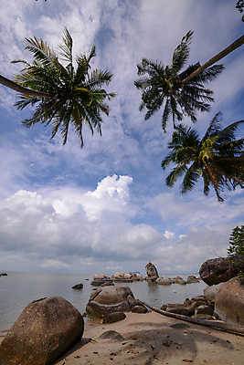 포토 JPG 해외이미지 공원 바다 여행 조류 하늘 휴가 풍경 해변 사람없음 야외 물 여행객 바위 말레이시아 내추럴 전국 지질학 해외포토 자연요소 동물 공공시설 교육 아시아 사람 돌_바위 파일형식 이미지허브