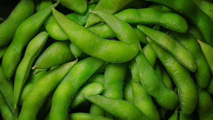 포토 JPG 해외이미지 식물 음식 백그라운드 다이어트 채소 탁자 콩 건강 요리 동양인 사람없음 초록색 일본 신선 맛 정상 유기농 소금 섬유 성분 꼬투리 단백질 대두 삶기 채식주의자 비건 해외포토 웰빙 아시아 컬러 가구 컨셉 곡류 인종 직물 채식 영양소 파일형식 이미지허브