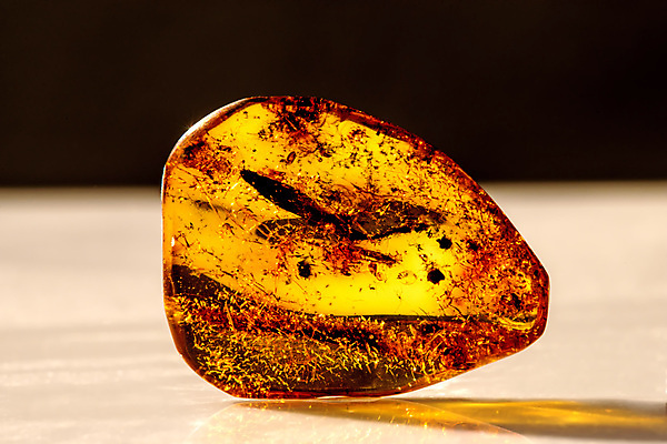 포토 JPG 해외이미지 자연 사람없음 빛 주황색 투명 보석 화석 앰버 해외포토 컬러 광석 생태계 파일형식 이미지허브