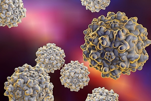 포토 JPG 해외이미지 모델 과학 백그라운드 일러스트 세포 건강 현미경 사람 사람없음 컬러풀 약 3D 자료 고통 바이러스 질병 생물학 만들기 감염 미생물 테라피 박테리아 고립 증상 진짜 해외일러스트 교육 감정 컬러 의학 모션 생물 실험기구 뷰티 디지털합성 파일형식 이미지허브