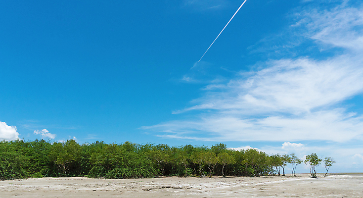 포토 JPG 해외이미지 나무 구름 계절 여행 백그라운드 컨셉 태국 하늘 휴가 휴식 따뜻함 사람없음 여름 햇빛 맑음 해외포토 자연요소 식물 아시아 날씨 태양 파일형식 이미지허브