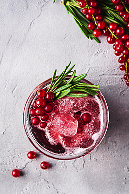 포토 JPG 해외이미지 백그라운드 사람없음 칵테일 시멘트 로즈메리 레드커런트 해외포토 열매 주류 허브 파일형식 이미지허브