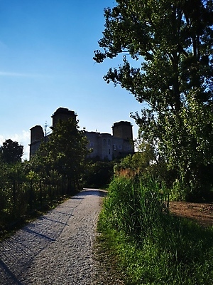 포토 JPG 해외이미지 나무 식물 구름 행복 길 얼굴 벽 여행 백그라운드 하늘 거리 주택 사랑 서기 사람 앉기 사람없음 야외 건물 옆모습 초록색 물 노트북 빛 강 사무실 걷기 기차 도시 숲 언덕 사인 먼지 온라인 고립 그만 선로 옛날 해외포토 자연요소 건축물 감정 육상교통 뷰포인트 컬러 비즈니스 모션 대중교통 신체부위 전자제품 파일형식 이미지허브