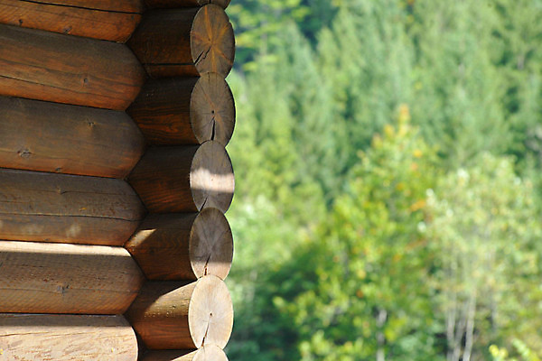 포토 JPG 해외이미지 건축양식 아파트 주택 사람없음 건물 목재 통나무 리빙 구역 렌탈 해외포토 나무 건축물 건축 재료 파일형식 이미지허브