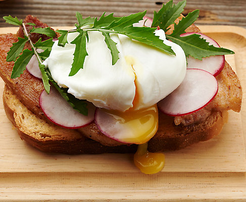 포토 JPG 해외이미지 실내 근접촬영 사람없음 계란 흐름 아침식사 토스트 노른자 나무접시 수란 적환무 해외포토 접시 빵 뷰포인트 컨셉 내부 알 식사 무 파일형식 이미지허브