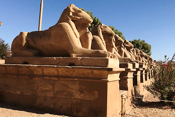 포토 JPG 해외이미지 모래 여행 건축양식 이집트 풍경 사람없음 조각상 여행객 활발 사막 골동품 바위 무덤 아내 사찰 수학 역사 기자 사자 큼 왕 심볼 묘사 피라미드 스핑크스 천연기념물 장례 복잡 카이로 파라오 해외포토 직업 건축물 건축 컨셉 포유류 교과목 종교건축 아프리카 사람 조형물 돌_바위 크기 랜드마크 파일형식 이미지허브