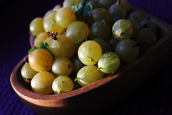 포토 JPG 해외이미지 사람없음 초록색 바구니 구스베리 해외포토 열매 컬러 파일형식 이미지허브