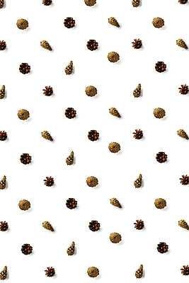 포토 JPG 해외이미지 나무 디자인 계절 백그라운드 컨셉 크리스마스 겨울 자연 추상 새로움 사람없음 장식 갈색 수확 가을 흰색 나뭇가지 소나무 정상 12월 연도 배열 오브젝트 솔방울 상록수 침엽수 전나무 원뿔 내추럴 삼나무 엘리먼트 가문비나무 크리스마스배경 미니멀 해외포토 도형 식물 기념일 컬러 무늬 농업 날짜 생태계 파일형식 이미지허브