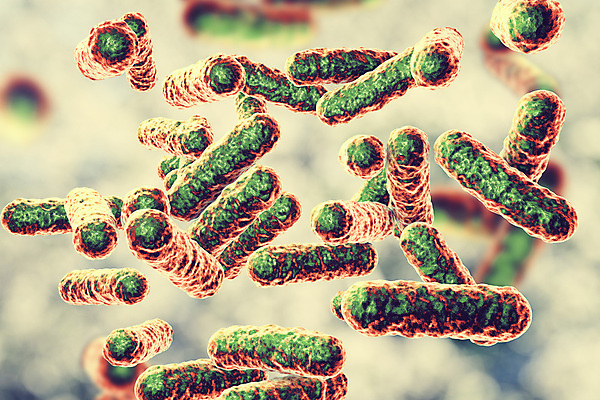 포토 JPG 해외이미지 과학 일러스트 사람 사람없음 컬러풀 약 3D 고양이 고통 바이러스 벌레 질병 감염 전염 미생물 많음 해외일러스트 감정 컬러 곤충 컨셉 포유류 의학 생물 반려동물 디지털합성 파일형식 이미지허브