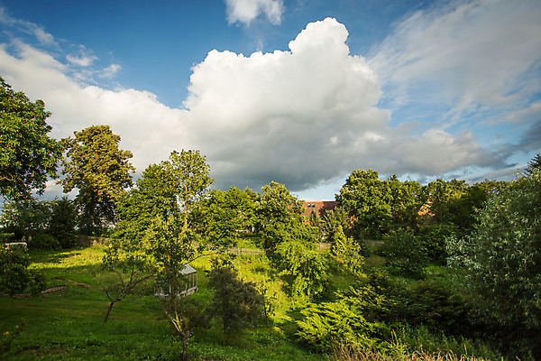 포토 JPG 해외이미지 나무 식물 디자인 공원 꽃 백그라운드 잎 밭 자연 하늘 주택 풍경 잔디 사람없음 야외 초록색 여름 환경 정원 봄 신선 땅 관목 조경 해외포토 계절 공공시설 컬러 농업 건물 생태계 파일형식 이미지허브