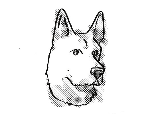 포토 JPG 해외이미지 동물 일러스트 포유류 흑백 종류 사람없음 그래픽 반려동물 수확 흰색 개 만화 스케치 그림 복고 사냥개 송곳니 고립 기르기 해외일러스트 컬러 농업 촬영기법 미술 치아 돌봄 파일형식 이미지허브