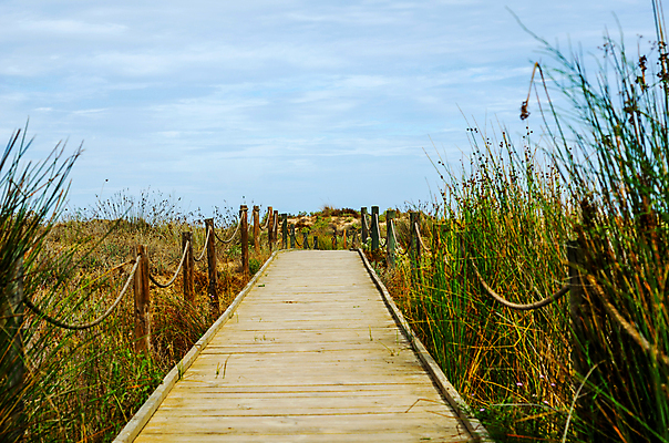 포토 JPG 해외이미지 모래 바다 여행 백그라운드 자연 하늘 휴가 풍경 사람없음 목재 여름 울타리 모래사장 햇빛 태양 걷기 맑음 산책로 수확 뜨거움 스페인 보호 널 오솔길 모래언덕 입장 통로 휴양지 보호구역 이국적 파라다이스 해외포토 자연요소 나무 계절 유럽 길 컨셉 농업 재료 모션 날씨 담장 장소 언덕 생태계 구역 파일형식 이미지허브