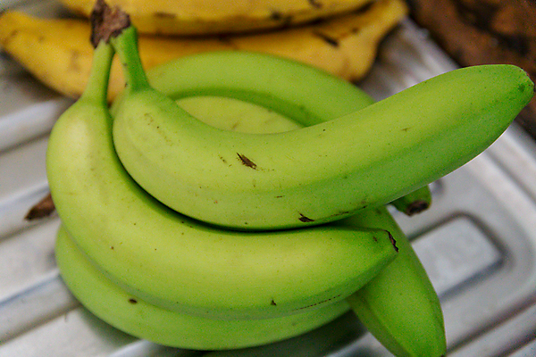 포토 JPG 해외이미지 음식 백그라운드 농업 과일 재료 바나나 건강 사람없음 초록색 농작물 금속 수확 신선 은색 상품 다발 보따리 유기농 날것 식용 채식주의자 해외포토 웰빙 산업 컬러 재질 채식 파일형식 이미지허브