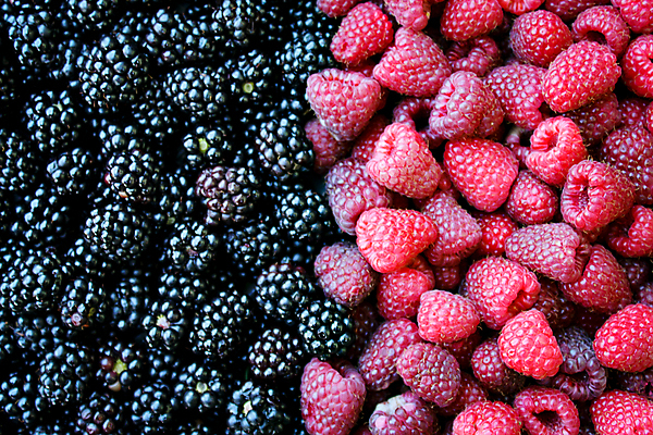 포토 JPG 해외이미지 열매 음식 분홍색 백그라운드 패턴 농업 과일 자연 추상 디저트 건강 사람없음 빨간색 상점 정원 검은색 어둠 수확 그룹 시장 달콤 가득함 유기농 블루베리 산딸기 블랙베리 내추럴 보스니아 숙성 영양분 채식주의자 해외포토 식물 웰빙 산업 컬러 무늬 맛 생태계 채식 파일형식 이미지허브