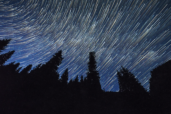 포토 JPG 해외이미지 나무 별 백그라운드 자연 하늘 풍경 사람없음 우주 산책로 야간 숲 은하계 천문학 침엽수 성운 가문비나무 해외포토 자연요소 식물 교육 길 생태계 파일형식 이미지허브