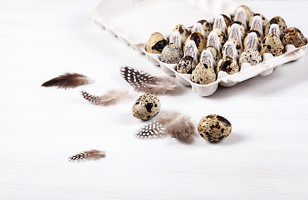 포토 JPG 해외이미지 전통 디자인 계절 음식 백그라운드 패턴 재료 자연 휴가 부활절 건강 사람없음 목재 장식 상자 농장 갈색 계란 축제 치킨 흰색 시골 축하 신선 그룹 아침식사 상품 작음 컨테이너 먹기 심볼 깃털 유기농 팩 내추럴 단백질 메추리 콘크리트 해외포토 나무 웰빙 기념일 산업 컬러 컨셉 무늬 농업 모션 알 식사 화장품 크기 생태계 닭고기요리 영양소 파일형식 이미지허브