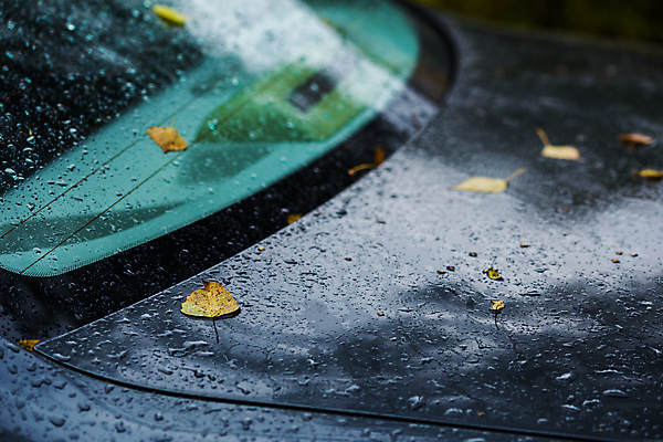 포토 JPG 해외이미지 주간 낙엽 자동차 나뭇잎 풍경 사람없음 야외 아웃포커스 가을 비 떨어짐 빗방울 해외포토 자연요소 계절 육상교통 컨셉 잎 날씨 촬영기법 비_날씨 파일형식 이미지허브