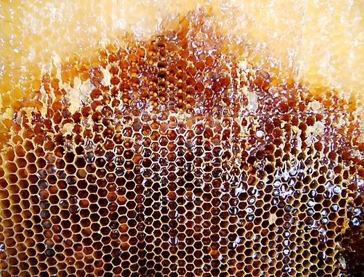 포토 JPG 해외이미지 동물 음식 곤충 백그라운드 패턴 오렌지 자연 세포 건강 사람없음 야외 약 농장 노란색 시골 신선 머리빗 황금 달콤 맛 꿀벌 배열 묘사 질감 꽃가루 육각형 꿀 벌집 내추럴 고립 밀랍 양봉 양봉장 왁스 폴리곤 해외포토 도형 컬러 컨셉 무늬 농업 과일 의학 미용용품 벌_곤충 가루 생태계 파일형식 이미지허브