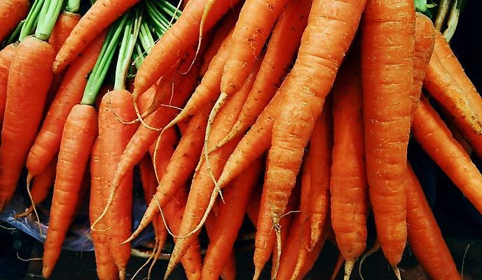 포토 JPG 해외이미지 음식 백그라운드 잎 농업 다이어트 채소 오렌지 재료 자연 건강 종류 사람없음 빨간색 컬러풀 쌓기 정원 식사 저녁식사 당근 샐러드 수확 아기 신선 시장 다발 먹기 유기농 날것 뿌리 섬유 층 흙더미 내추럴 점심식사 섞기 숙성 영양소 진짜 채식주의자 해외포토 식물 웰빙 산업 컬러 과일 모션 뿌리채소 사람 흙 직물 생태계 채식 파일형식 더미 이미지허브