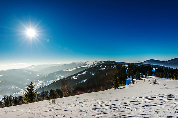 포토 JPG 해외이미지 나무 계절 여행 백그라운드 겨울 자연 하늘 휴가 스키 산 파노라마 풍경 경사 사람없음 파란색 우주 맑음 냉동 얼음 황혼 일몰 하이킹 추위 흰색 시골 숲 신비 언덕 서리 북쪽 내추럴 절정 눈내림 가문비나무 해외포토 자연요소 식물 컬러 컨셉 레저 날씨 겨울스포츠 눈_날씨 촬영기법 노을 방향 생태계 파일형식 이미지허브