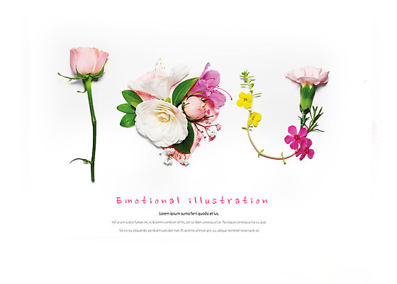 PSD 편집이미지 꽃잎 꽃 감정 분홍색 나뭇잎 따뜻함 사랑 사람없음 장미 귀여움 카네이션 감성 이미지편집 식물 컬러 컨셉 잎 파일형식