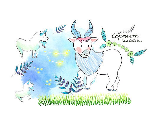 PSD 꽃 일러스트 나뭇잎 염소 수채화 세마리 초원 사람없음 컬러풀 별자리 별자리캐릭터 번짐 염소자리 국내일러스트 일러캐릭터 식물 캐릭터 컬러 잎 포유류 3 파일형식 효과