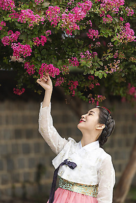 포토 JPG 주간 한국전통 여자 여유 여행 한옥 한명 미소 사람 상반신 20대 성인 야외 옆모습 한국인 자유 가을 잡기 한복 전라북도 즐거움 한옥마을 설레임 국내여행 배롱나무 전주 성인여자한명만 경기전 국내포토 자연요소 나무 1 전통 계절 감정 뷰포인트 컨셉 고건축 모션 한국 표정 동양인 청년 마을 전통의상 전라도 여자한명만 성인여자만 파일형식