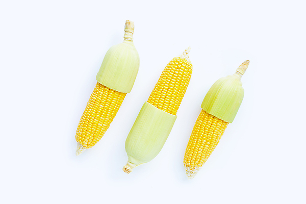 포토 JPG 해외이미지 실내 옥수수 사람없음 하이앵글 세개 흰배경 일렬 옥수수껍질 해외포토 뷰포인트 백그라운드 곡류 3 내부 껍질 흰색 파일형식 이미지허브