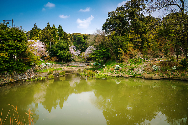 포토 JPG 해외이미지 나무 식물 공원 꽃 아시아 호수 여행 잎 자연 휴식 풍경 사람없음 야외 초록색 물 여름 파란색 강 컬러풀 반사 환경 정원 일본 맑음 봄 벚꽃 가을 바위 연못 체리 개울 내추럴 해외포토 자연요소 계절 공공시설 나라 컬러 컨셉 과일 날씨 돌_바위 생태계 파일형식 이미지허브