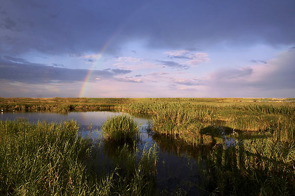 포토 JPG 해외이미지 식물 구름 계절 꽃 호수 여행 백그라운드 무지개 잎 밭 농업 자연 하늘 밥 날씨 산 파노라마 풍경 사람없음 야외 초록색 여름 파란색 관광지 컬러풀 농장 농경지 노란색 환경 중국 수확 성장 시골 신선 낟알 유기농 내추럴 수평선 해외포토 자연요소 웰빙 산업 아시아 음식 컬러 촬영기법 생태계 파일형식 이미지허브