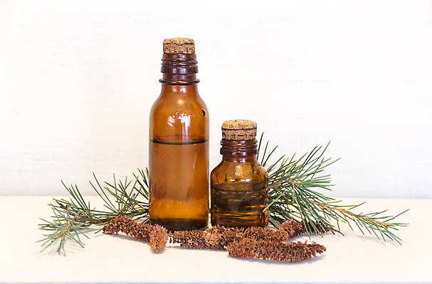 포토 JPG 해외이미지 식물 백그라운드 재료 자연 씨앗 사람없음 초록색 갈색 스파 화장품 흰색 나뭇가지 마사지 소나무 허브 향수 유기농 침엽수 아로마테라피 원뿔 고립 삼나무 에센스 추출 해외포토 도형 나무 웰빙 컬러 뷰티 생태계 테라피 파일형식 이미지허브