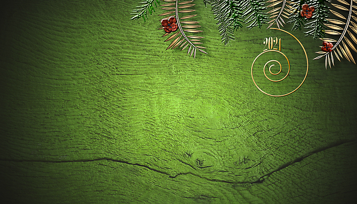 포토 JPG 해외이미지 나무 디자인 계절 별 백그라운드 크리스마스 겨울 패턴 자연 탁자 추상 휴가 새로움 프레임 사람없음 목재 장식 빨간색 초록색 빛 3D 우주 축제 어둠 수확 축하 인사 소나무 신용카드 연도 질감 복고 전나무 그런지 목판 가문비나무 해외포토 자연요소 식물 기념일 컬러 가구 컨셉 무늬 농업 재료 금융 예절 디지털합성 생태계 파일형식 이미지허브