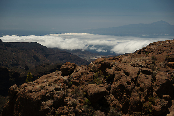 포토 JPG 해외이미지 나무 유럽 여행 자연 하늘 휴가 산 따뜻함 풍경 사람없음 야외 여름 파란색 태양 걷기 트래킹 하이킹 사막 시골 스페인 숲 큼 내추럴 웅장함 수평선 해외포토 자연요소 식물 계절 나라 컬러 모션 레저 크기 생태계 파일형식 이미지허브