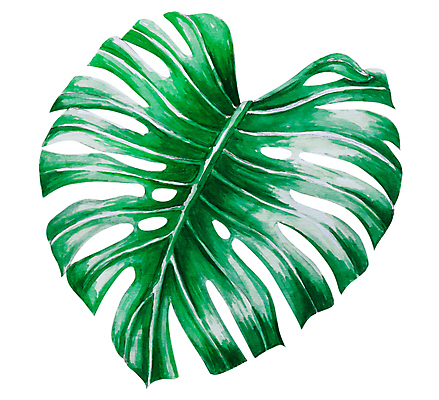 포토 JPG 해외이미지 식물 손 디자인 백그라운드 잎 꽃무늬 패턴 일러스트 자연 벽지 추상 수채화 손바닥 미술 사람없음 장식 초록색 여름 정원 흰색 신용카드 숲 그림 유기농 질감 내추럴 고립 엘리먼트 이국적 현실 해외일러스트 웰빙 계절 꽃 컬러 무늬 문화예술 신체부위 금융 생태계 파일형식 이미지허브