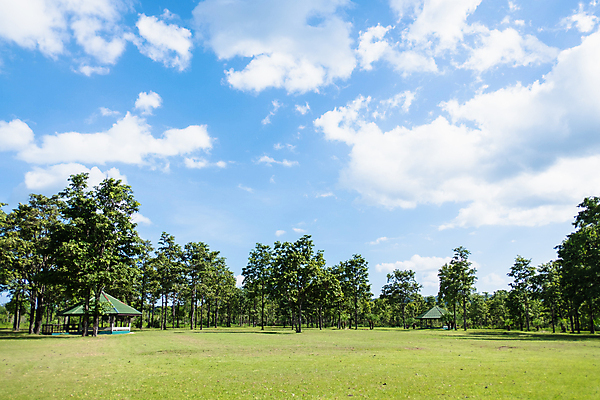 포토 JPG 해외이미지 나무 구름 라이프스타일 공원 스포츠 백그라운드 잎 밭 골프 자연 하늘 휴식 풍경 잔디 사람없음 야외 초록색 여름 파란색 햇빛 태양 환경 정원 맑음 봄 도시 숲 땅 묘사 일반 내추럴 해외포토 자연요소 식물 계절 공공시설 컬러 컨셉 농업 날씨 생활 구기 생태계 파일형식 이미지허브
