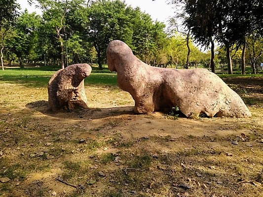 포토 JPG 해외이미지 동물 야생동물 밭 농업 곰 포유류 자연 사람없음 초록색 농장 갈색 양 소 방목 들소 황소 양고기 해외포토 산업 컬러 육류 축산업 생태계 파일형식 이미지허브