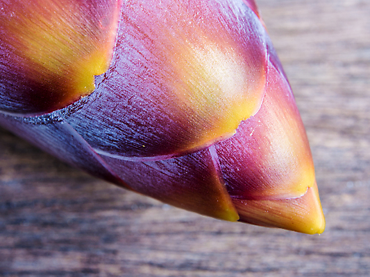 포토 JPG 해외이미지 식물 꽃잎 꽃 음식 줄기 잎 꽃무늬 채소 과일 자연 바나나 사람없음 빨간색 노란색 보라색 벚꽃 신선 닫기 은색 제비꽃 묘사 유기농 날것 강렬 해외포토 웰빙 컬러 무늬 모션 생태계 파일형식 이미지허브